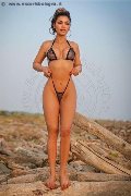 An�polis Escort Leona 333 78 35 540 foto 4
